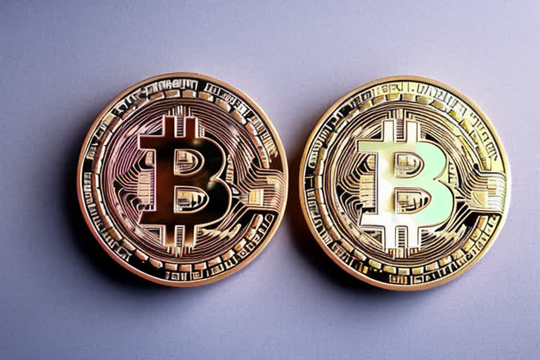 에이다코인 ETF, 도지코인 가격 역사, 전부 한 번에 파악하세요!